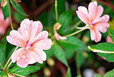 《孤岛惊魂7》或能在第一人称与第三人称视角之间切换